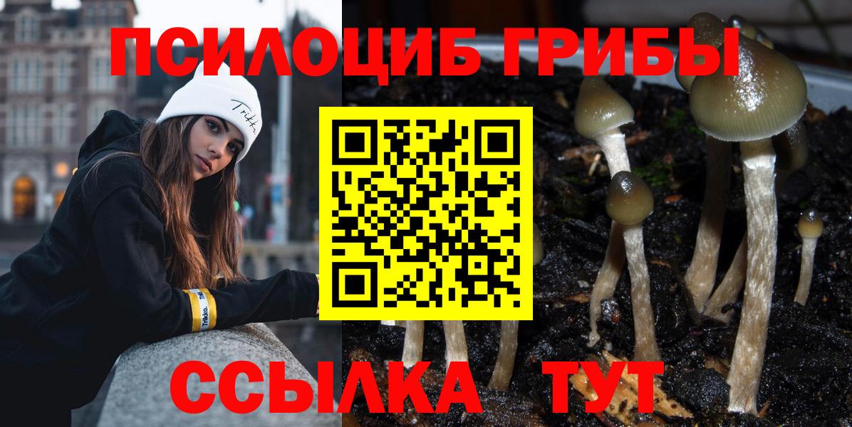 Фролово  Псилоцибиновые грибы GOLDEN TEACHER  Вход с VPN  Псилоцибиновые грибы Cubensis 