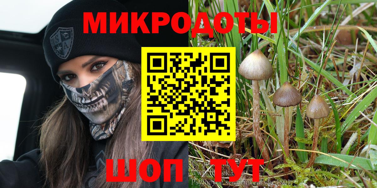 Псилоцибиновые грибы MAGIC MUSHROOMS Фролово